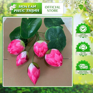 Cụm sen quan âm búp50cm hàng loại 2 #cụm_sen_giả_trang_trí #sen_quan_âm_búp #cụm_sen_cao_cấp