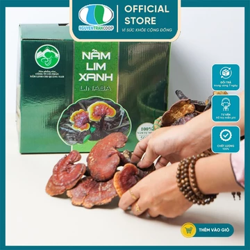 Nấm Lim Xanh RỪNG Quảng Nam LINASA - Giải độc Gan, thanh lọc Gan, cải thiện hệ thống miễn dịch | Nguyễn Trần Coop