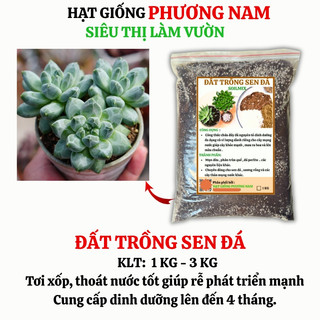 3 Kg - Đất Trồng Sen Đá Phương Nam - Trộn Sẵn, 85% Đá Khoáng, Lên Màu, Thoát Nước Tốt