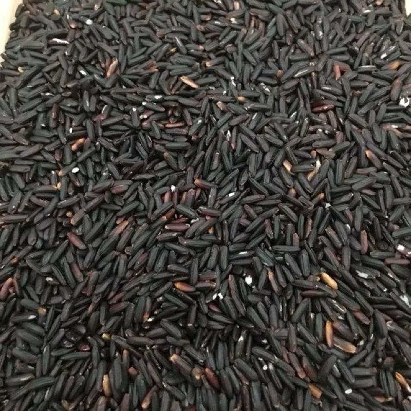 ( Sỉ 10kg ) Gạo lứt đen Điện Biên mềm dẻo-10 kg