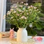 Bình Hoa Gốm Sứ Dáng Hũ Nơ Nhỏ 13cm Decor Trang Trí Bàn Làm Việc Màu Pastel Xinh Xắn GomDecorTSC