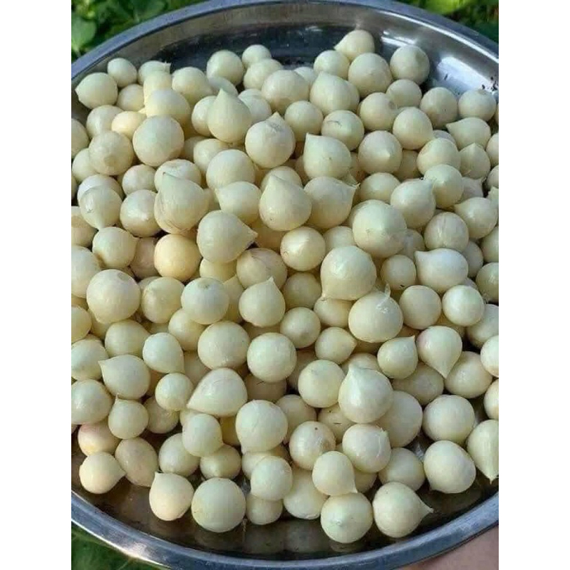 Tỏi cô đơn Yên Châu - Đặc sản Tây Bắc