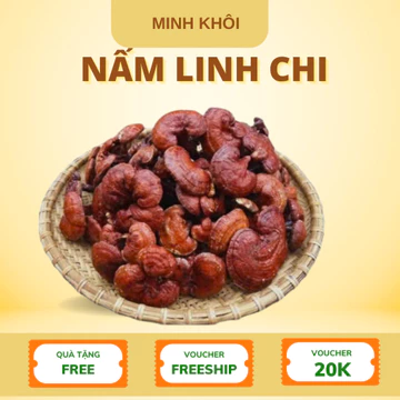 Nấm Linh Chi Đỏ Cao Cấp,Nấm linh chi rừng đỏ khô Tây Bắc thu hái, phơi khô tự nhiên