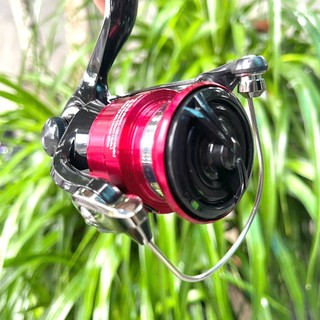 [LK HÒA]  MÁY CÂU CHUYÊN LURE DAIWA MG, MÁY CÂU ĐỨNG CHUYÊN CÂU LURE HÃNG DAIWA Đi Câu Bắt Cá
