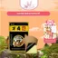 Gói 12 Miếng Cao Dán Giúp Giảm Đau Nhức Quảng Vương Hổ, Miếng Dán Hỗ Trợ Đau Xương Khớp - Thỏ Cosmetic