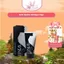 Combo 3 Kem UPSIZE Xuất xứ Nga Chính Hãng - Kem Nở Ngực Tăng Size Vòng 1 Căng Tròn, Làm Hồng Nhũ Hoa - Thỏ Cosmetic