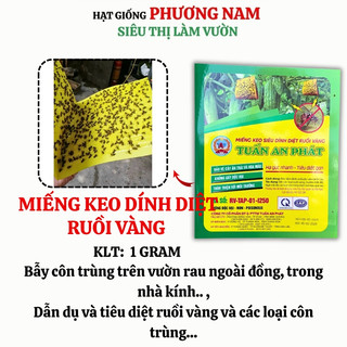 Miếng Keo Dính Ruổi Vàng Phương Nam