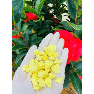 Tinh Bột Nghệ Đen , Tinh Bột Nghệ Vàng Chuẩn Dân Làm 💯 Thảo tây bắc 25