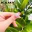 Nhẫn bạc nữ thiết kế bông hoa kiêu sa đính đá cao cấp - Trang sức KAMY