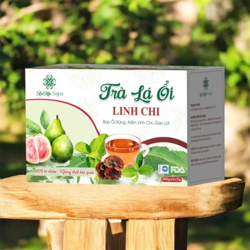 Hộp 50 Trà Túi Lọc Thảo Mộc Lá Ổi Hỗ Trợ Giảm Cân, Giảm Tiêu Chảy, Tiểu Đường, Trà Búp Ổi Rừng Nấm Linh Chi An Mộc Sapa