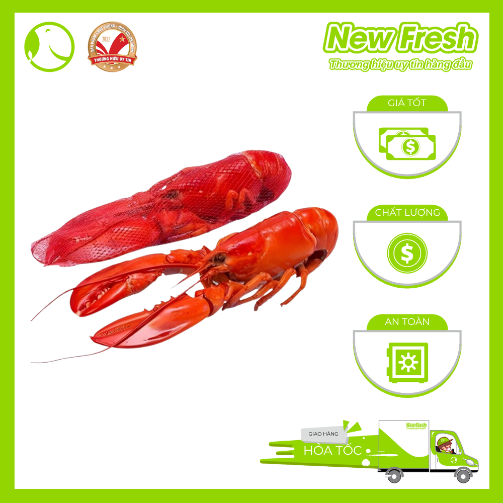 COMBO 20: TÔM HÙM BABY HẤP SIÊU TIỆN LỢI | 2 Con Tôm Hùm Baby Canada ...