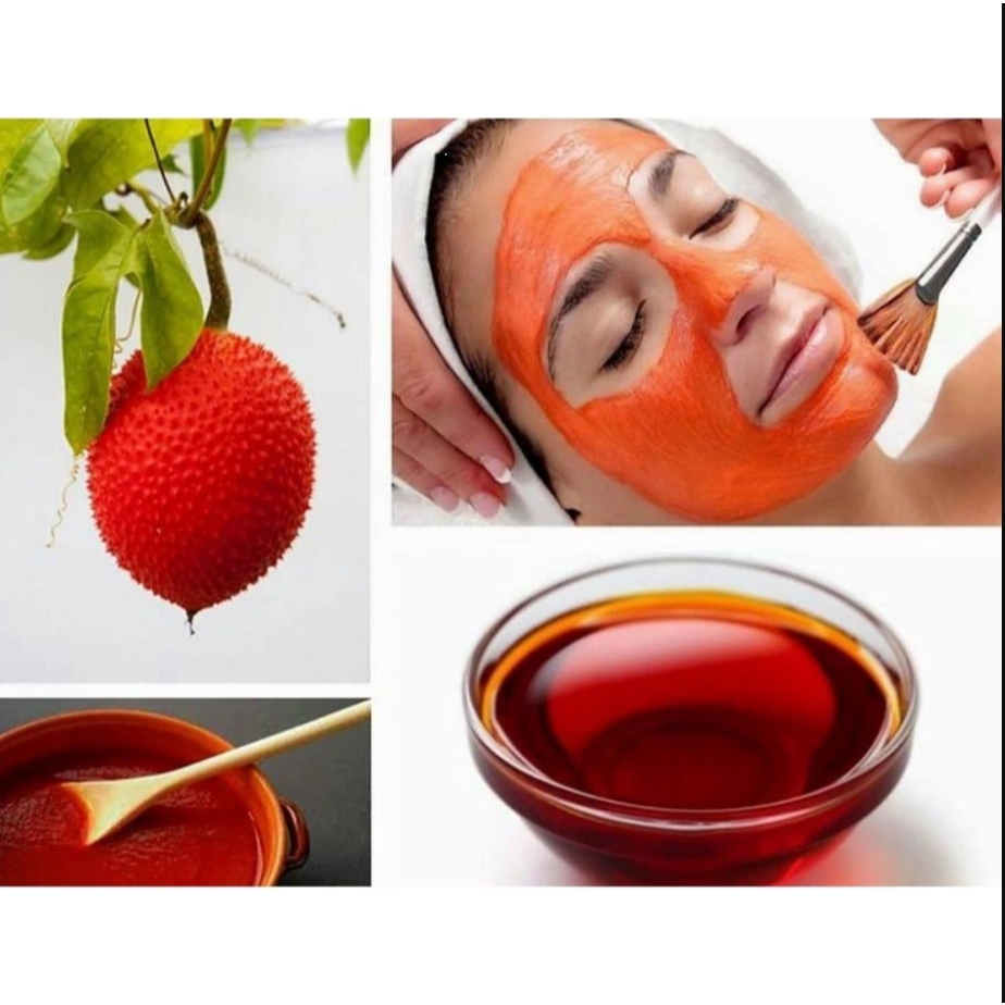 Bầu cây giống cây gấc nếp cao sản chuẩn giống - HẠT GIỐNG GẤC NẾP CANH NÔNG kvt