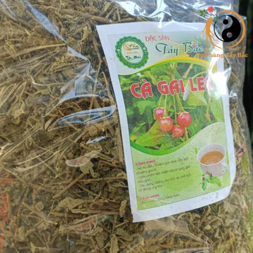 Cà gai leo khô sạch loại 1 (500g, 1kg), trà lá cây cà gai leo khô giải độc gan, giải rượu, thanh nhiệt mát gan