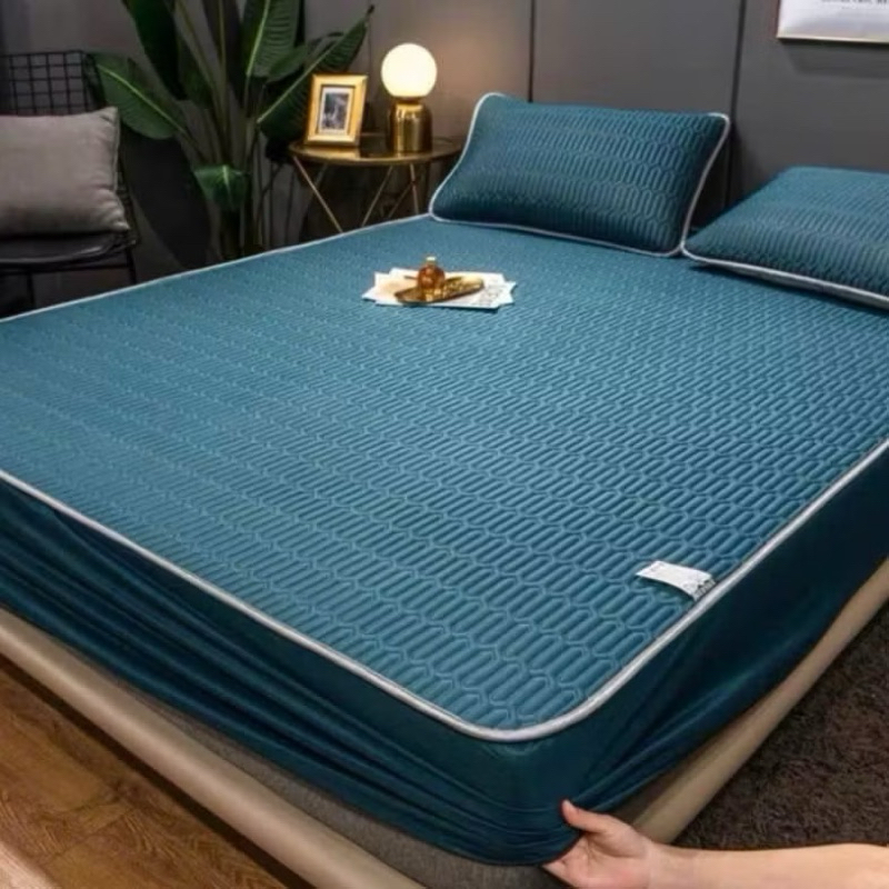 Ảnh Chiếu điều hoà boc chun vải tencel bodecor mát mẻ, kháng khuẩn, không mùi hôi cao su tặng kèm 2 vỏ gối đầu 3