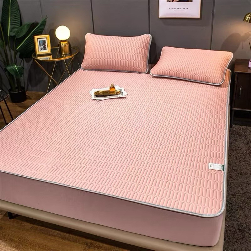 Ảnh Chiếu điều hoà boc chun vải tencel bodecor mát mẻ, kháng khuẩn, không mùi hôi cao su tặng kèm 2 vỏ gối đầu 2