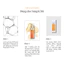 Tinh chất sáng da Murad Vita-C Glycolic Brightening Serum 30ml