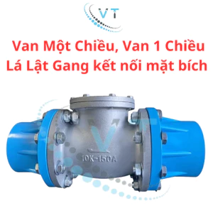 Van Một Chiều, Van 1 Chiều Lá Lật Gang kết nối mặt bích