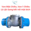Van Một Chiều, Van 1 Chiều Lá Lật Gang kết nối mặt bích
