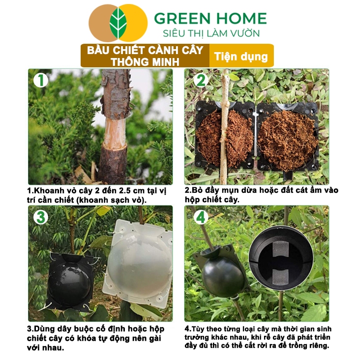 Ảnh 10 Bầu Chiết Cành GreenHome, Nhiều Kích Thước, Tăng Khả Năng Ra Rễ,Chống Úng Cành Chiết,Độ Bền 2 Năm 3