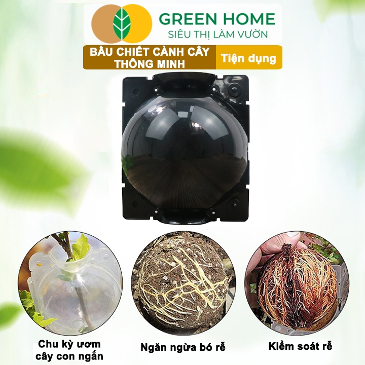 Ảnh 10 Bầu Chiết Cành GreenHome, Nhiều Kích Thước, Tăng Khả Năng Ra Rễ,Chống Úng Cành Chiết,Độ Bền 2 Năm 2