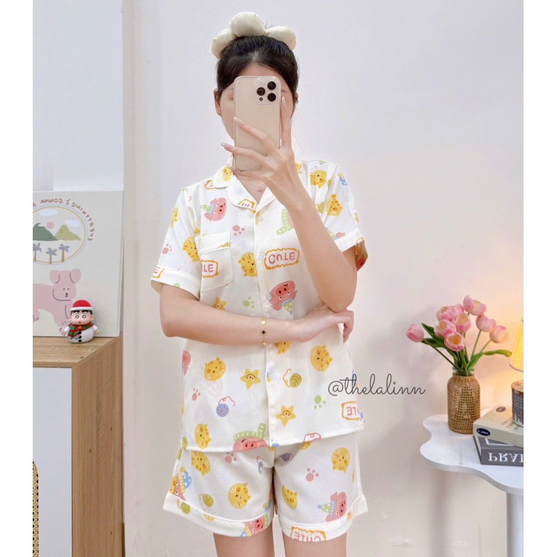 Mèo heo