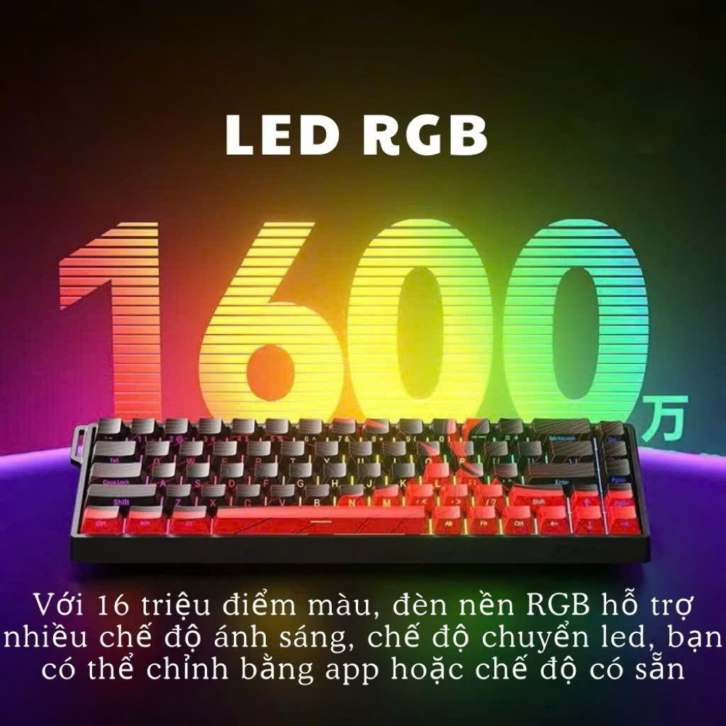 (SẴN HÀNG) Bàn Phím Cơ Gaming AULA WIN60HE / WIN60HE PRO / WIN68HE PRO / WIN68HE Max / Rapid Trigger | 8000hz Cực Nhạy | BigBuy360 - bigbuy360.vn