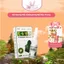 Xịt Xoang Mũi Jimingtang, Hỗ Trợ Dứt Điểm Xoang Cấp Tính Và Mãn Tính, 100% Nguồn Gốc Từ Thảo Dược, Thỏ Cosmetic