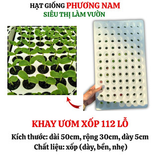 Khay Ươm Hạt - Khay Xốp Phương Nam Gieo Hạt 84 - 112 - 209 Lỗ