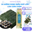 50 Miếng rong biển khổ lớn cuộn cơm tặng mành tre túi tiện lợi khi sử dụng chế biến