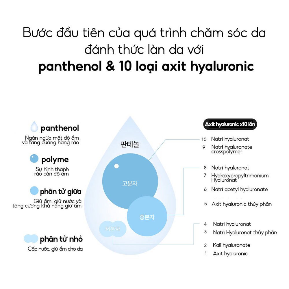 Ảnh BIODANCE Nước Hoa Hồng Cân Bằng pH Dưỡng Ẩm Dịu Nhẹ Cho Da First Synergy Toner 150ml 4