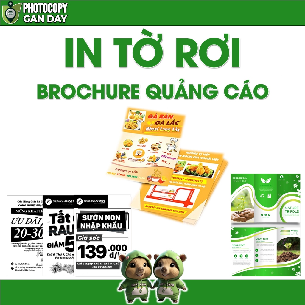 Dịch vụ in tờ rơi - Brochure quảng cáo, nhận thiết kế, in màu sắc nét ...