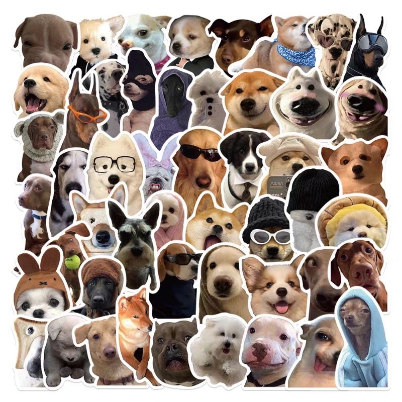 Set 10 / 50 sticker chó meme dán trang trí nón mũ bảo hiểm laptop vali ...