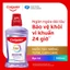 Nước súc miệng Colgate Total Gum Care 500ml - Loại bỏ 99,9% vi khuẩn