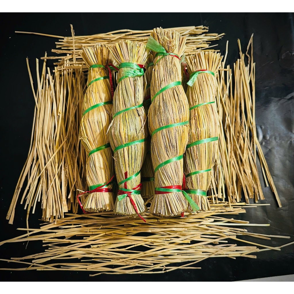COMBO 5 CÂY TRÉ BÓ RƠM - ĐẶC SẢN BÌNH ĐỊNH | Shopee Việt Nam