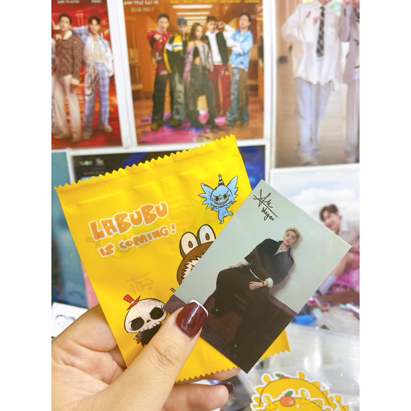 COMBO TÚI MÙ CÁC IDOL NHIỀU MẪU TỰ XÉ