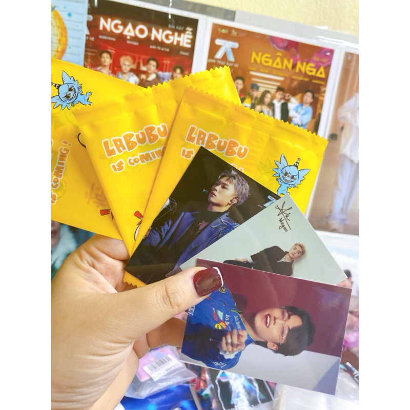 COMBO TÚI MÙ CÁC IDOL NHIỀU MẪU TỰ XÉ