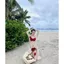 Bikini đồ bơi đi biển set BÔNG ĐỎ + CHOÀNG có mút phối khoác ren bèo sang chảnh HAN.T SHOP