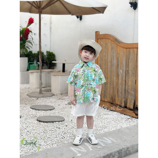 Maxi cây dừa. Set đi biển chị em. Đồ cặp cho bé. Đồ đi biển bé gái, bé trai họa tiết non sông Việt Nam 10-40kg