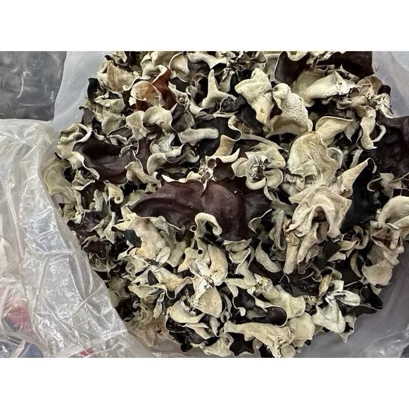 Nấm mèo (mộc nhĩ) Bảo Châu loại 1 ngon giòn không hóa chất 500gr