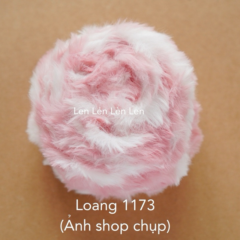 Loang 1173