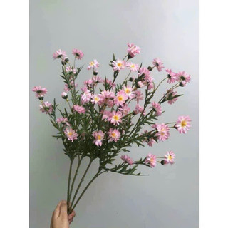 Cành cúc mi 75cm thân phủ phấn #cành_cúc_mi_dài #cúc_hoạ_mi_giả #cúc_hoạ_mi #hoa_trang_trí