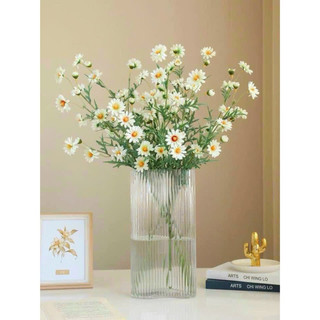 Cành cúc mi 75cm thân phủ phấn #cành_cúc_mi_dài #cúc_hoạ_mi_giả #cúc_hoạ_mi #hoa_trang_trí