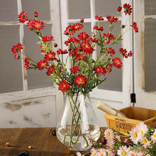 Cành cúc mi 75cm thân phủ phấn #cành_cúc_mi_dài #cúc_hoạ_mi_giả #cúc_hoạ_mi #hoa_trang_trí