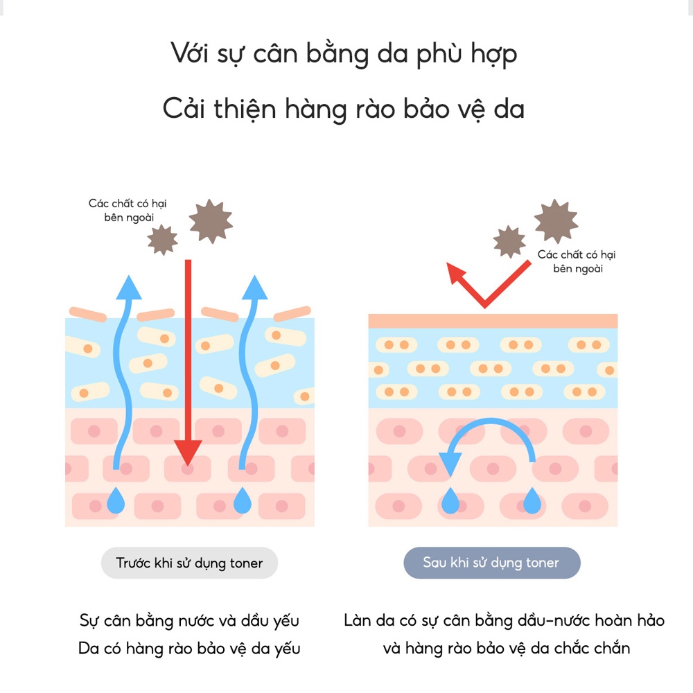 Ảnh BIODANCE Toner Chiết Xuất Dầu Hạt Nho Huyết Thanh Cấp Ẩm Cải Thiện Kết Cấu Da Micro Dual Serum Toner 3