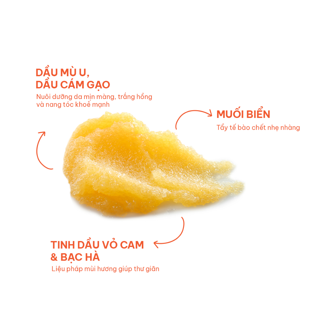 Ảnh COMBO 2 Muối tẩy tế bào chết da đầu, tóc, cơ thể BareSoul 330gx2 3