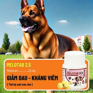 Thuốc viên giảm đau kháng viêm trị nhiễm khuẩn cho chó mèo gà gia súc gia cầm lọ 20 viên VB Pharma