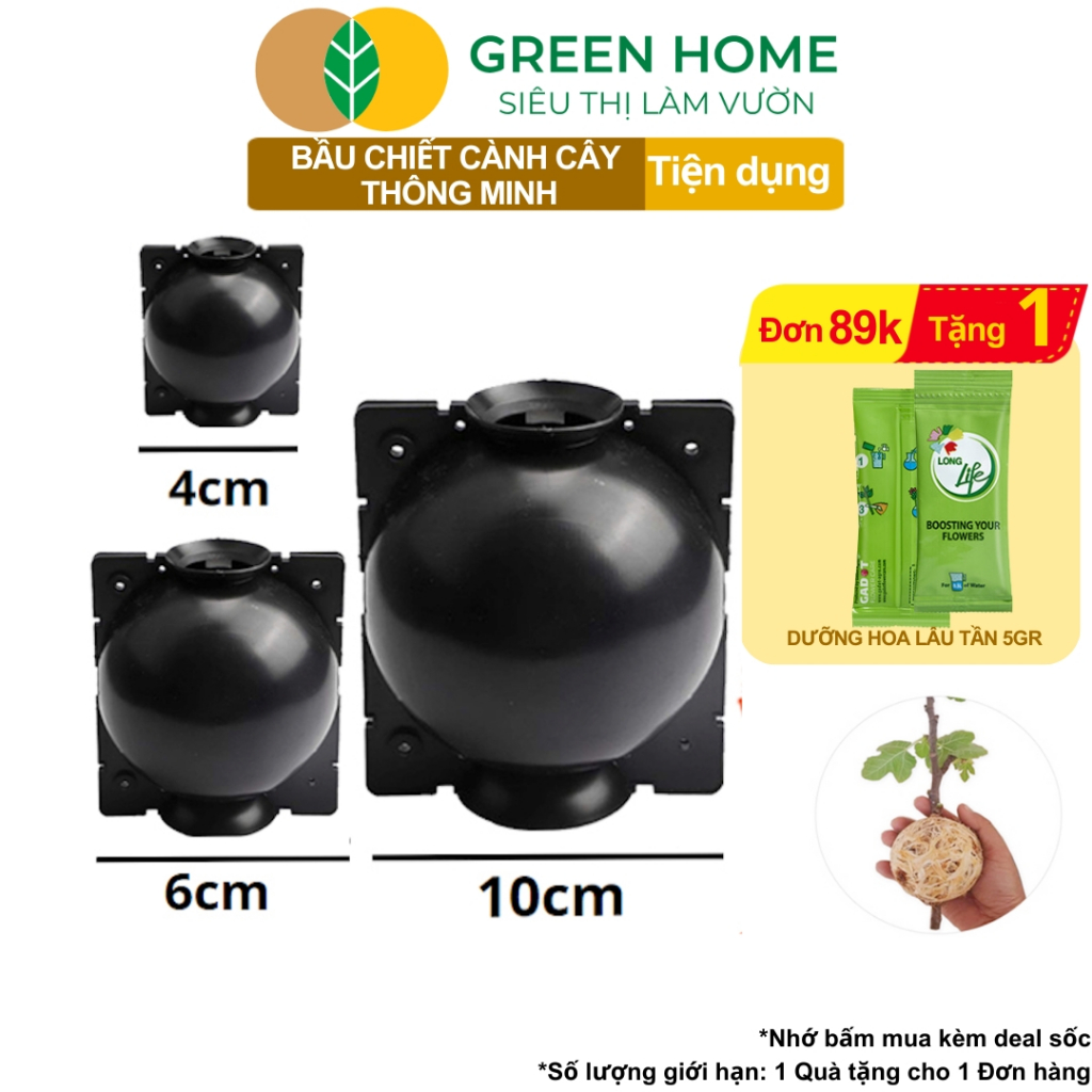 Review Bầu Chiết Cành GreenHome: Nhân Giống Cây Nhanh, Ra Rễ Khỏe, Bền Lâu