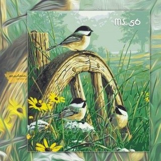 Tranh tô màu 40x50cm có khung Chim trên thảm cỏ xanh T56