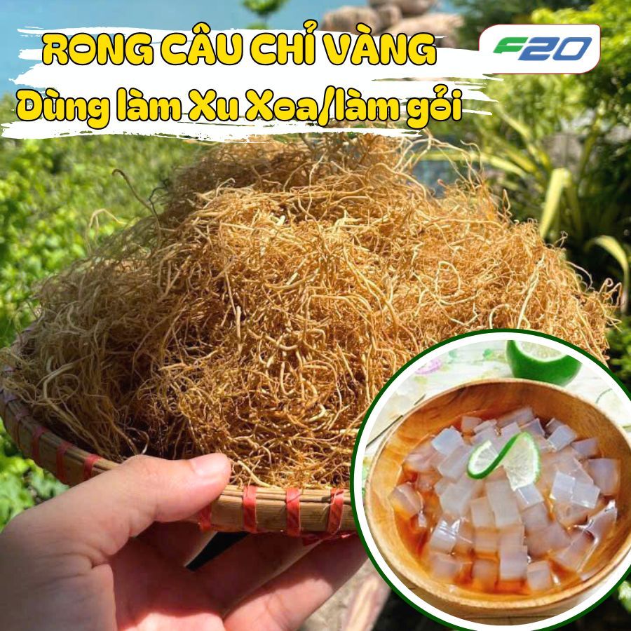 Rong chỉ vàng nấu xu xoa - Rong biển nấu chè - Rong câu chỉ vàng nấu ...