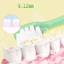 Combo 2 gói Set 2 bàn chải lông mềm kiểu dáng khủng long dễ thương cho bé (4 cái)